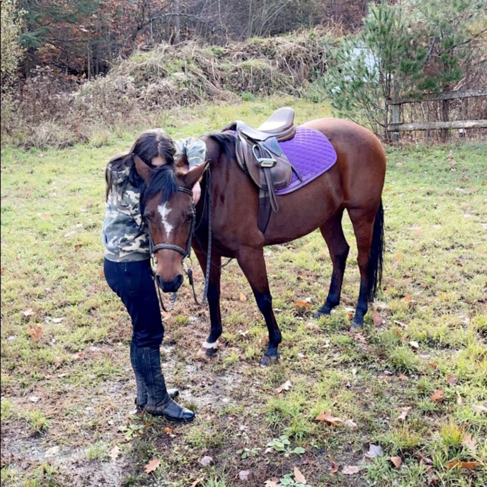 ISO- HORSE COOLER